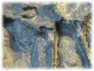 Gummiform zur Herstellung von Bauplatten für die Außen- und Innendekoration von Gebäuden „Wild Stone“